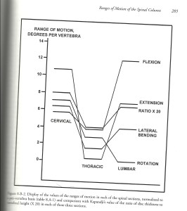 The thoracic spine has 3x rotational ROM as lumbar spine. 