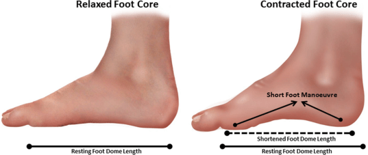 Short foot exercise
