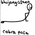 bhujangasana