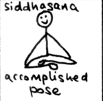 siddhasana